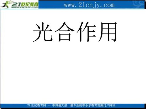 生物 3.5 光合作用 2 浙科版必修1 下載 生物