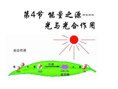 第4節 能量之源--光與光合作用公開課PPT_word文檔在線閱讀與下載_無憂文檔
