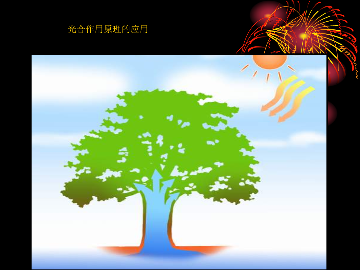 凈光合速率的三種表示方法