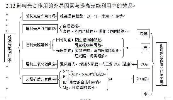 詳解光合作用，輕松掌握高中生物知識點